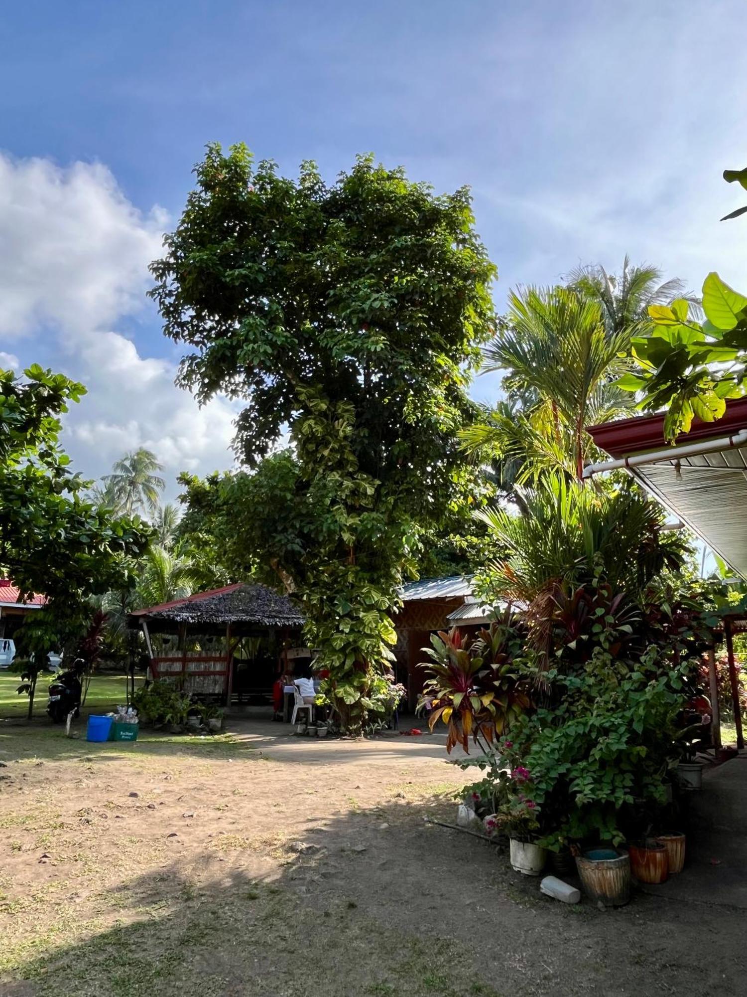 Paco'S Garden Home Stay Mambajao Exteriör bild